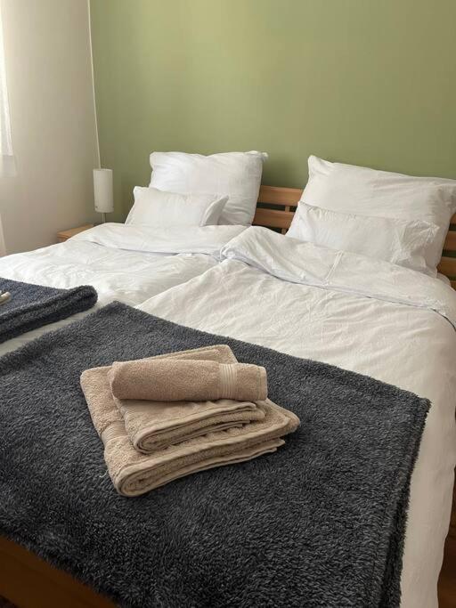 Priestranny 3 Izb. Apartman V Centre S Parkovanim. بانْشكا بيشتريتْسا المظهر الخارجي الصورة