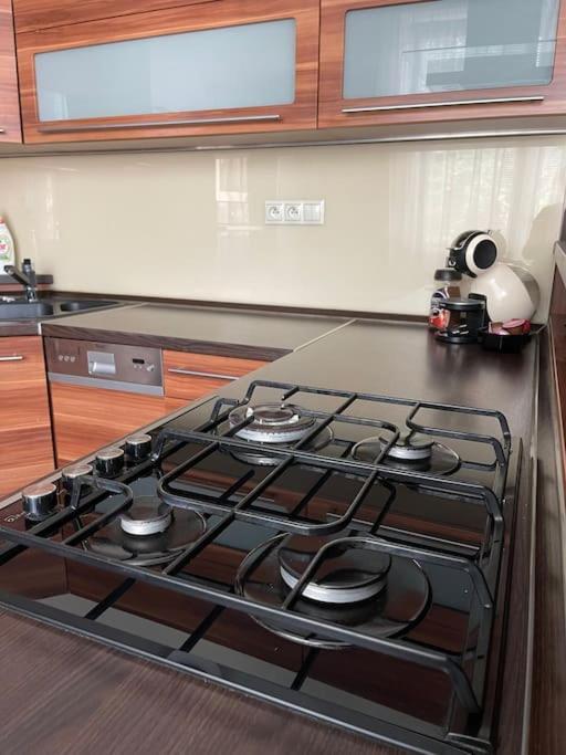 Priestranny 3 Izb. Apartman V Centre S Parkovanim. بانْشكا بيشتريتْسا المظهر الخارجي الصورة