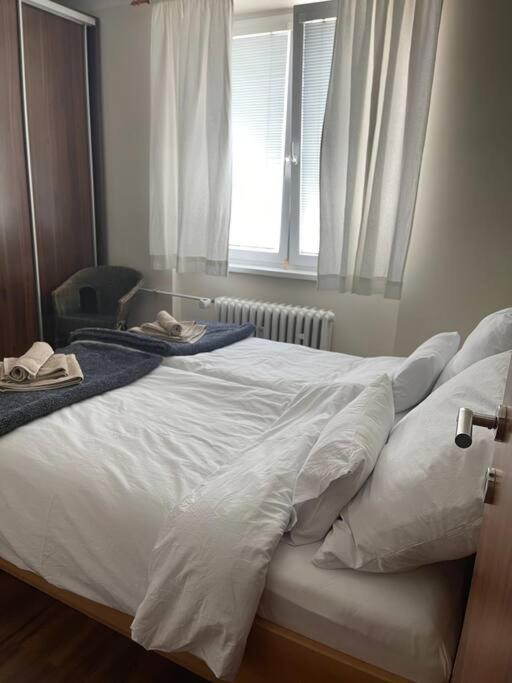 Priestranny 3 Izb. Apartman V Centre S Parkovanim. بانْشكا بيشتريتْسا المظهر الخارجي الصورة